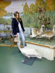 IMG_20180417_133826.jpg